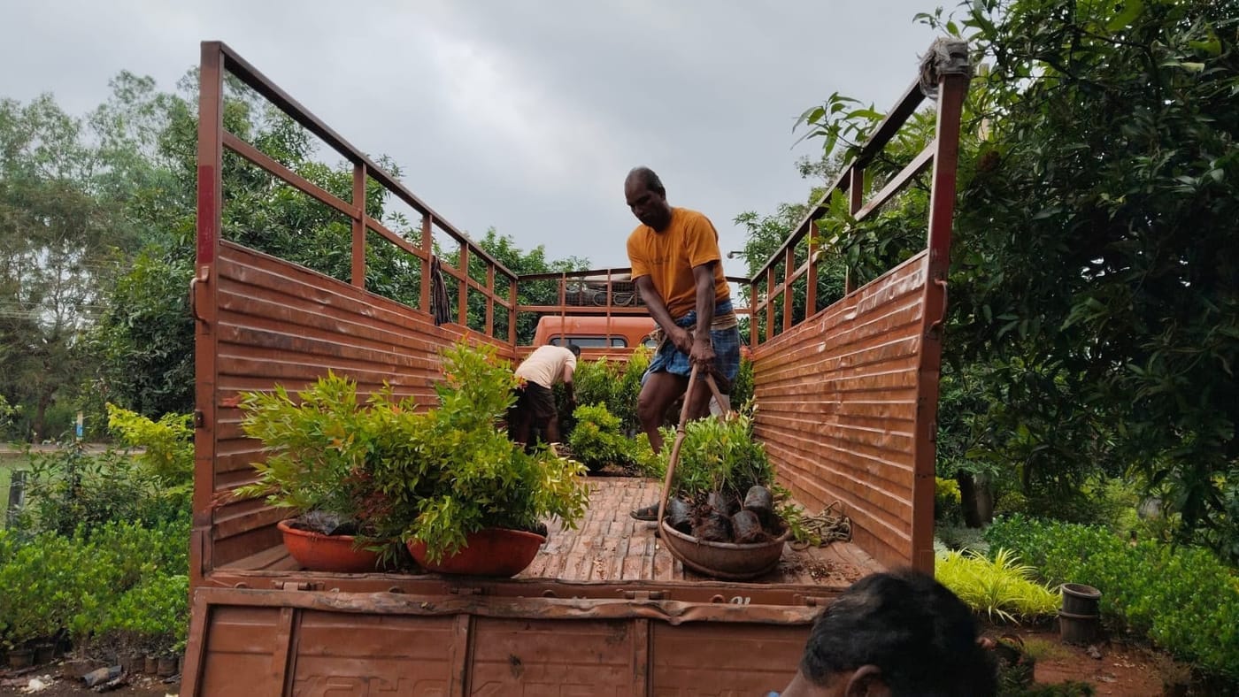Truck being loaded at the nursery gate