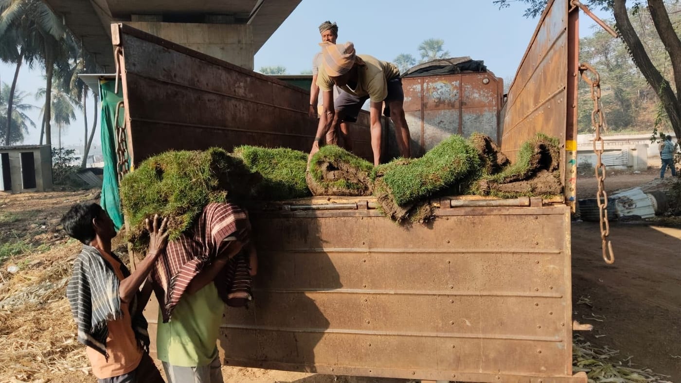 Team loading a consignment of plants onto a truck